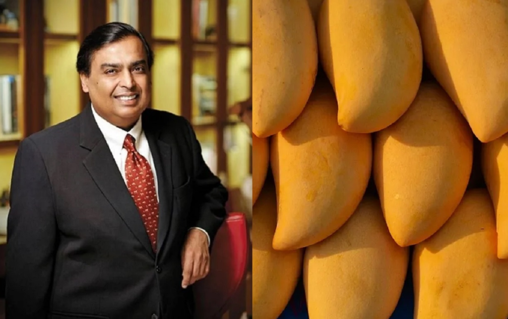 Now Mukesh Ambani became world’s largest exporter of Mangoes, transformed 600 acres of barren lands in mango orchard in Jamnagar, Gujarat Mango Orchard developed by Mukesh Ambani to export mangoes worldwide